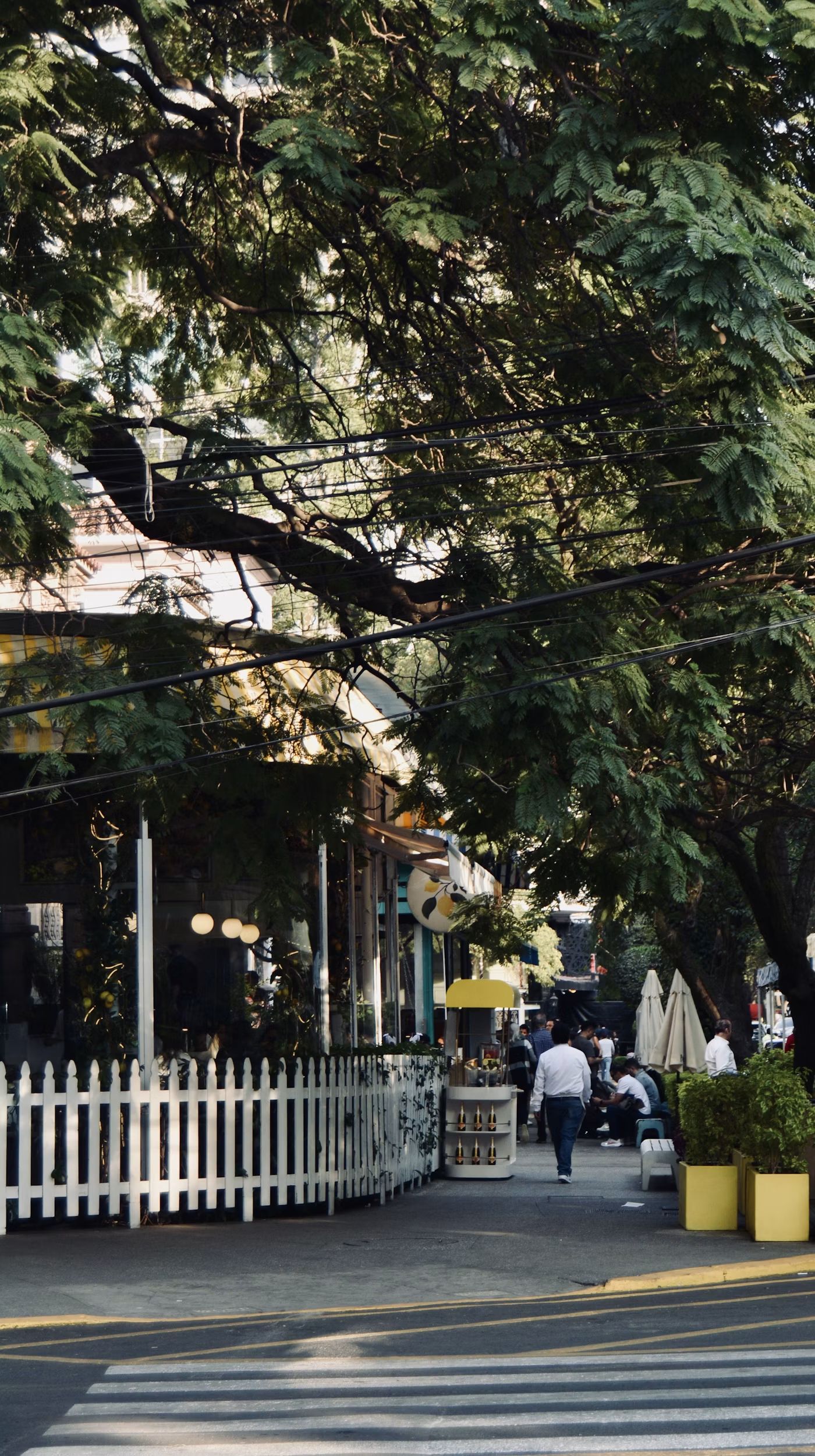 Una calle arbolada de la Condesa, con terrazas y gente caminando.